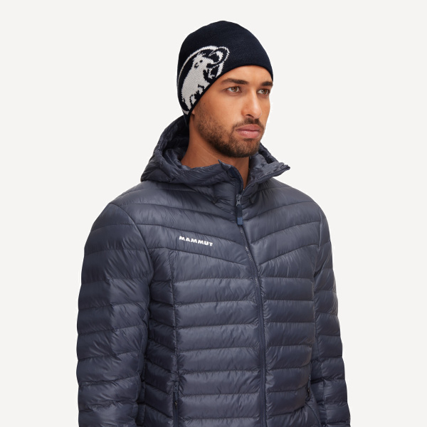 Шапка Mammut Tweak Beanie (; one size; marine-white)